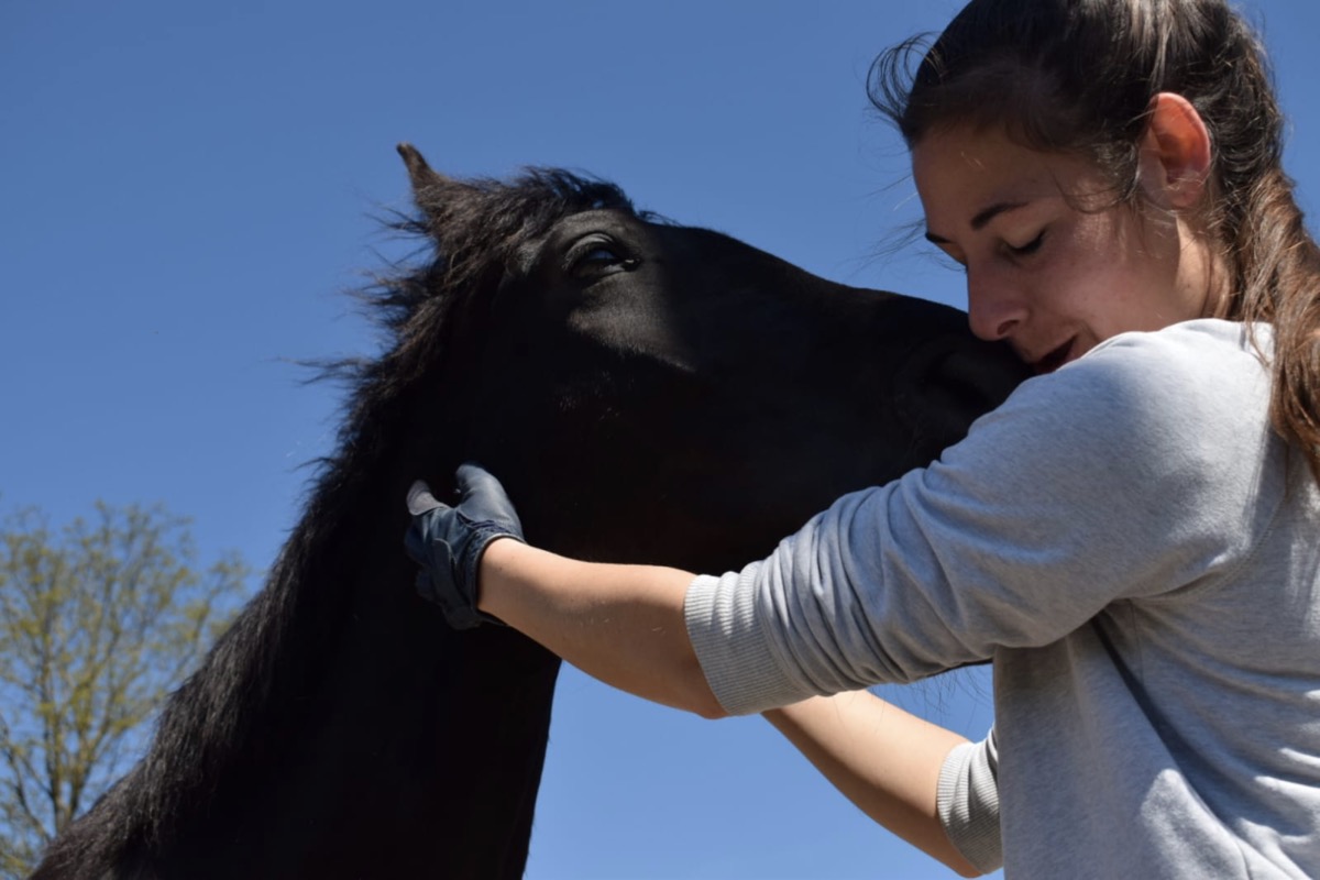 Paardencoaching