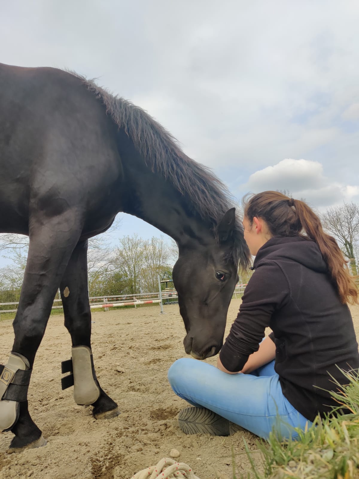 Paardencoaching